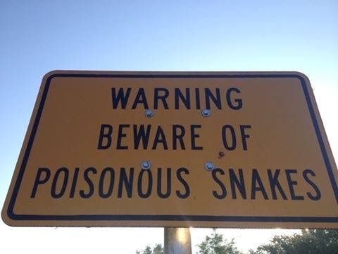Venomous snake warning sign — snake safety Jacksonville