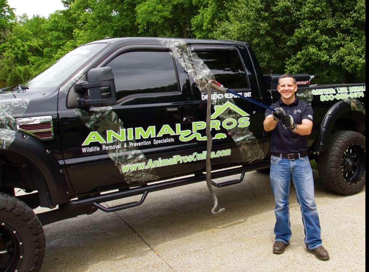 Snake removal technician on job site